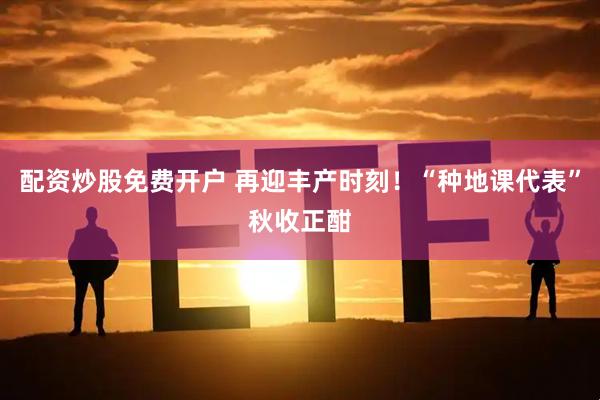 配资炒股免费开户 再迎丰产时刻！“种地课代表”秋收正酣